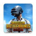 pubg国际版